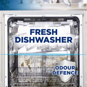 Fresh Dishwasher
